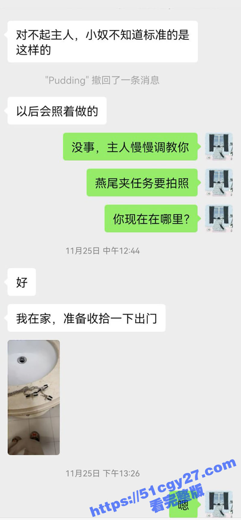 网调极品萝莉pudding道具肛塞私拍16