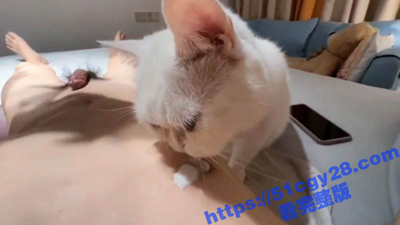 瓜友带萝莉女友与猫咪共谱双飞狂欢 喵咪舔奶头女友口交猎奇又刺激！