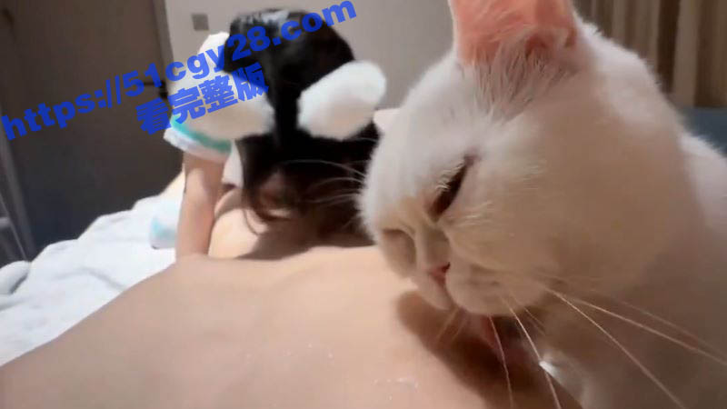 双飞萝莉女友和小猫咪 2