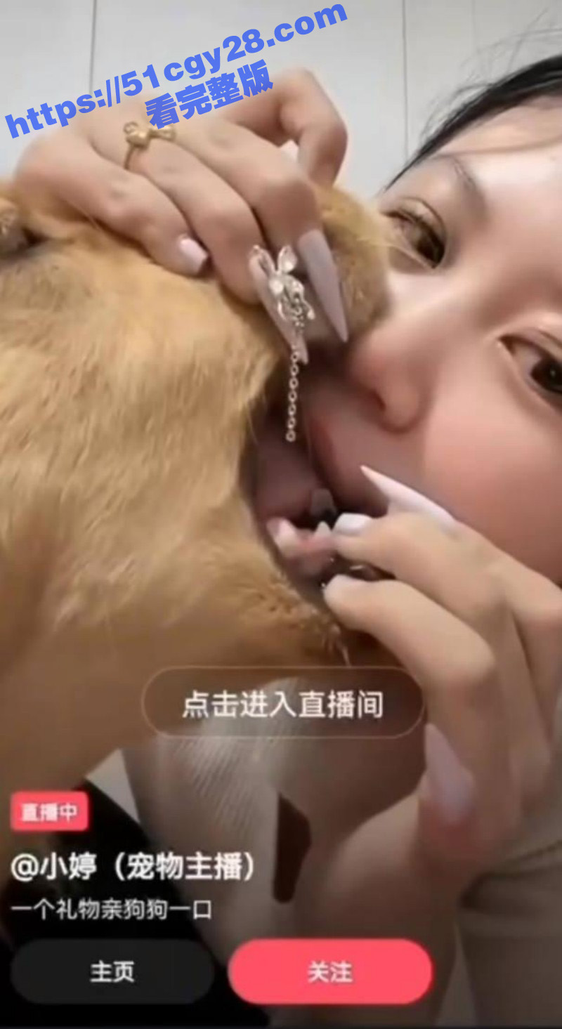 小婷宠物主播直播与狗舌吻视频06