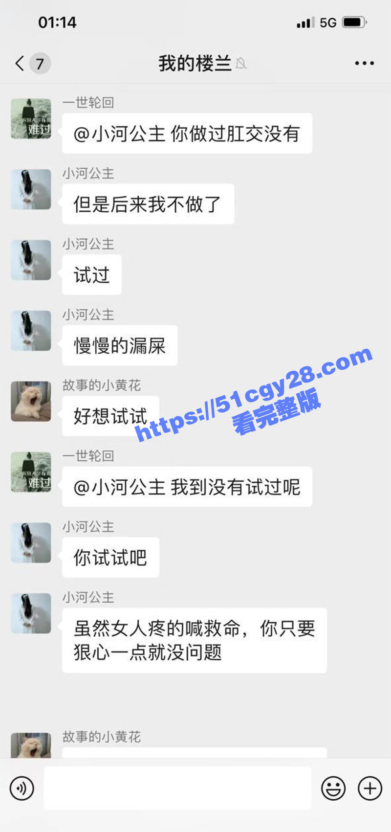 寂寞人妻在群里聊骚还跟多名群友线下开房约操12