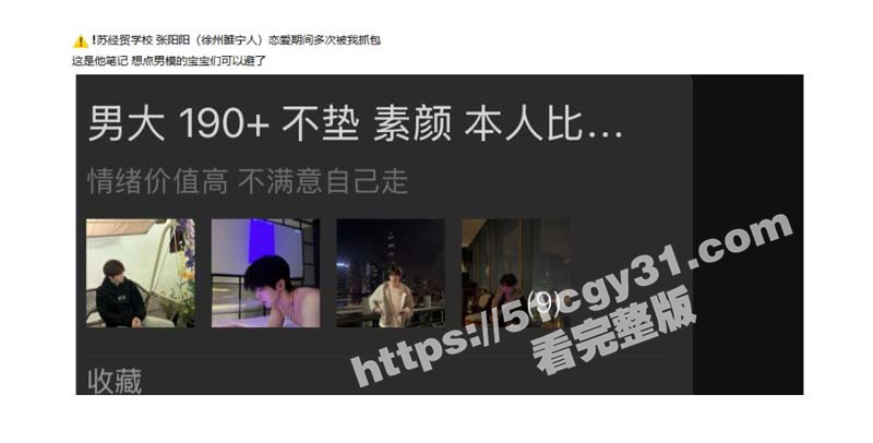 苏州经贸职业技术学院 张阳阳 恋爱期间被抓包百人斩 11页PDF曝光渣男笔记 男模粉快避！