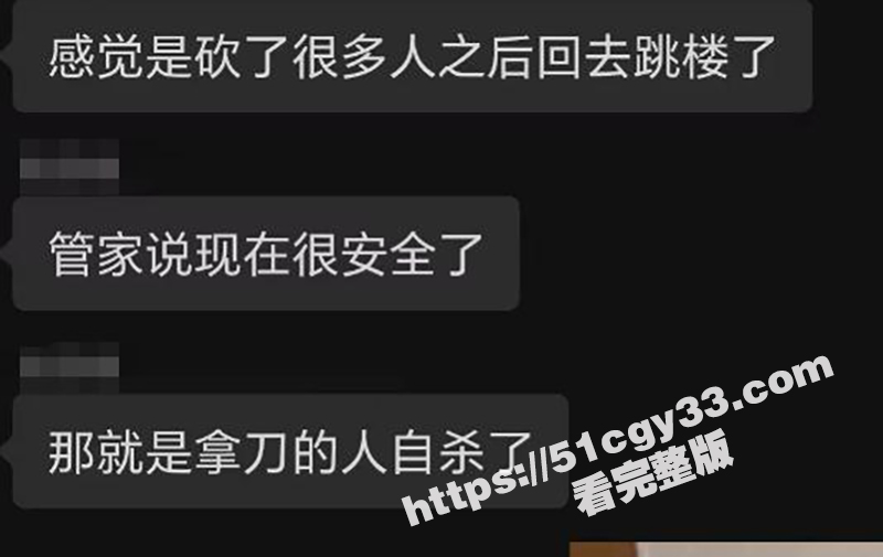 广东岭南新世界 一男子砍人视频流出 9