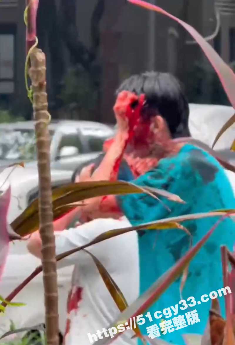 广东岭南新世界 一男子砍人视频流出 2