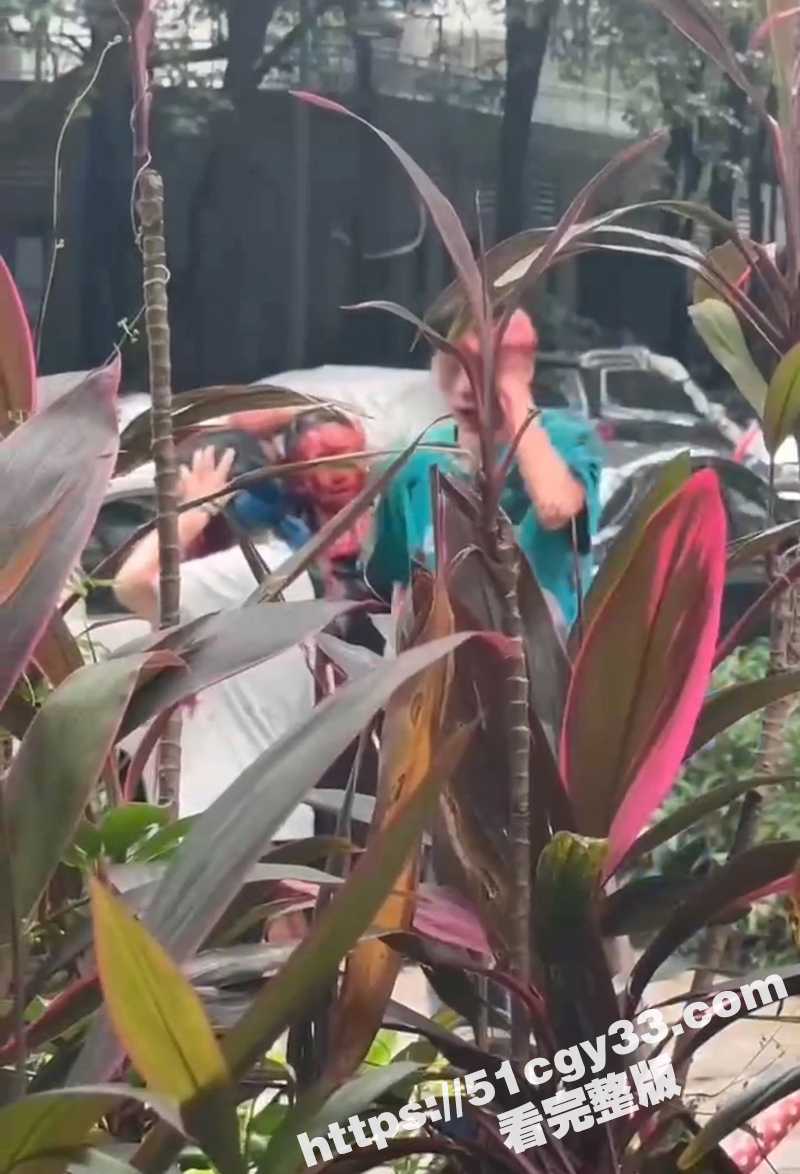 广东岭南新世界 男子无差别随机砍人 血流成河后跳楼自杀 现场完整版视频曝光！