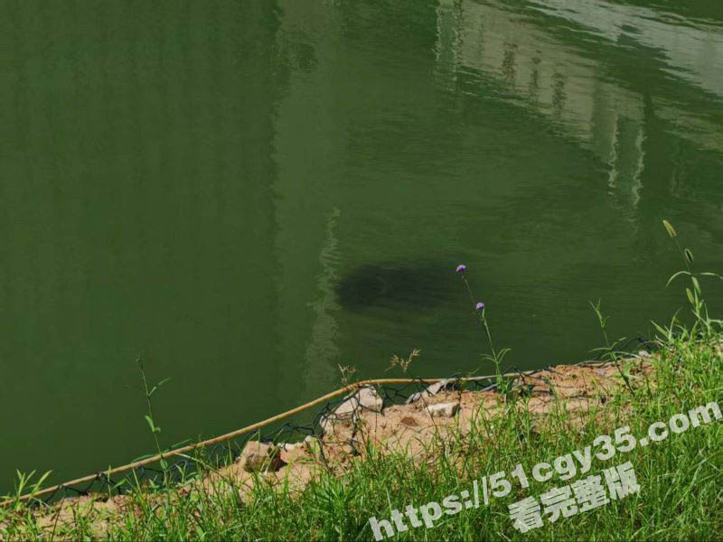 中国地质大学未来城校区惊现学生尸体 4