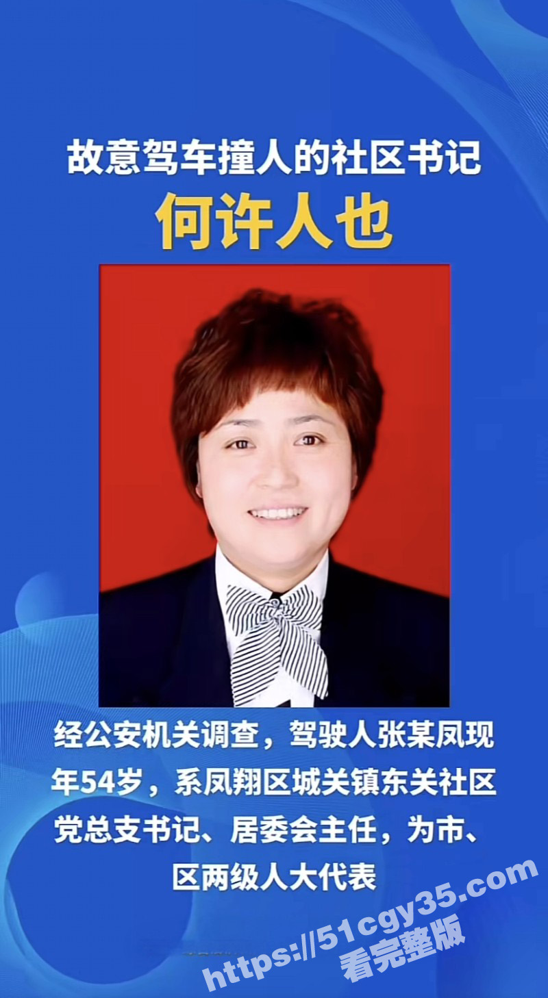 陕西宝鸡张春凤开车撞小三误伤路人04