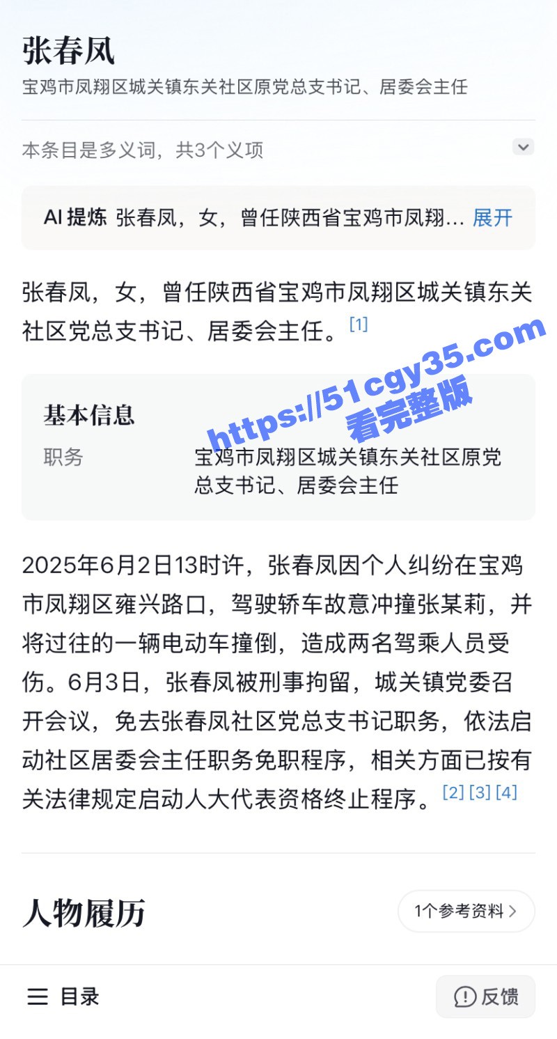 陕西宝鸡张春凤开车撞小三误伤路人03