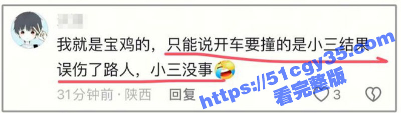 陕西宝鸡张春凤开车撞小三误伤路人012