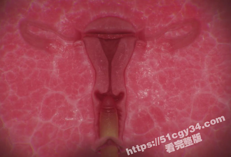 3D动漫哥布林地狱11