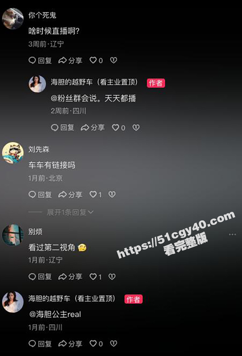抖音网红海胆的越野车性爱视频曝光 12 拷贝