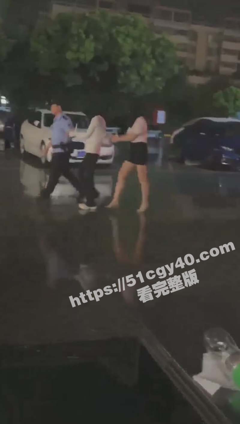 杭州扫黄现场视频（2）