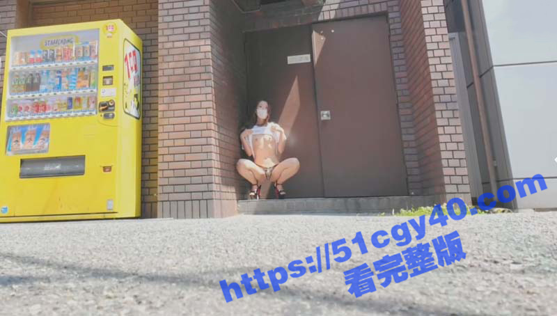 霓虹少妇露出调教（5）