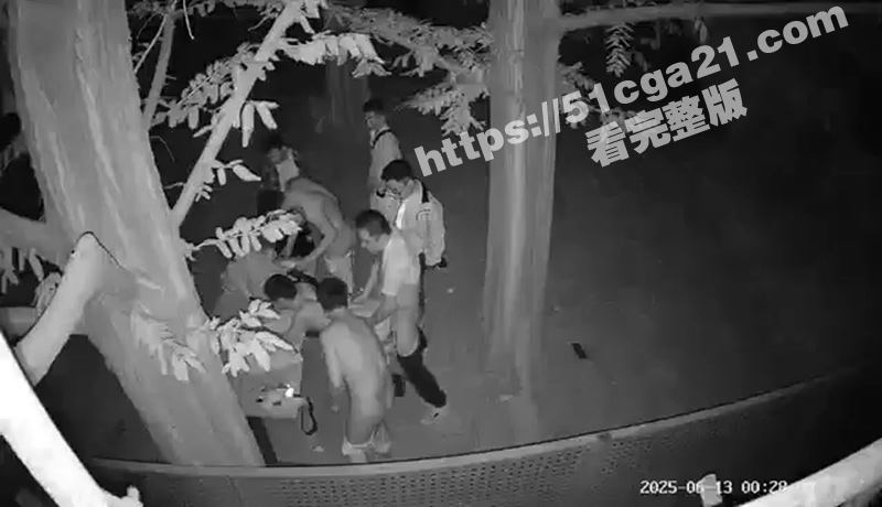 成都户外男同群交视频（3）