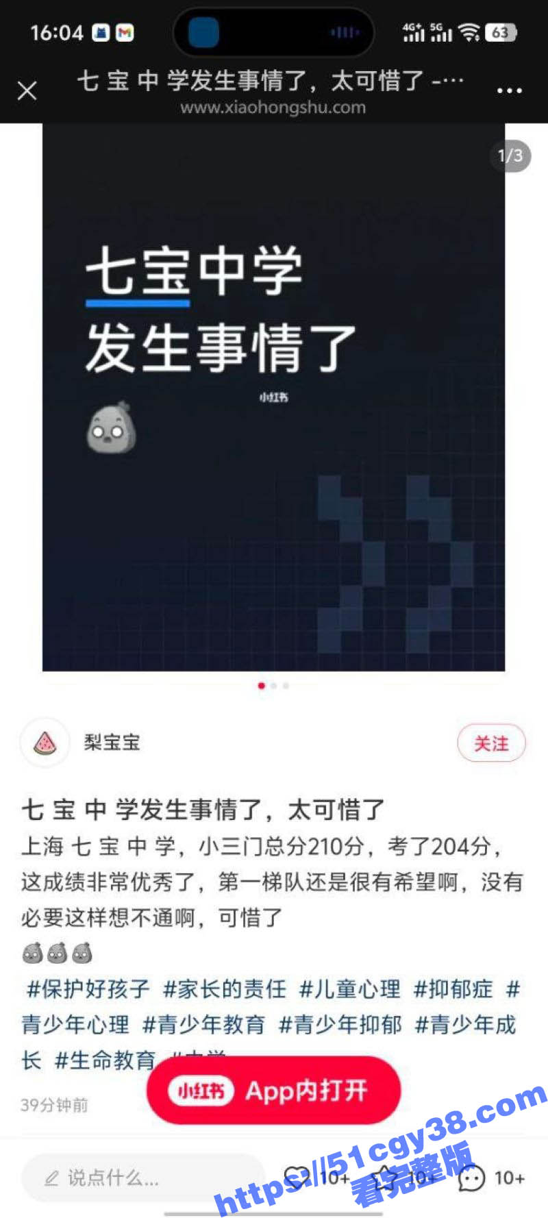 上海七宝中学高三学生高考后跳楼事件 4