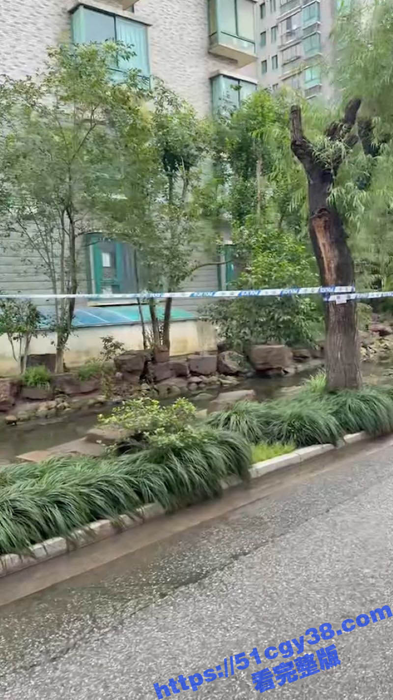 上海七宝中学高三学生高考后跳楼事件 3