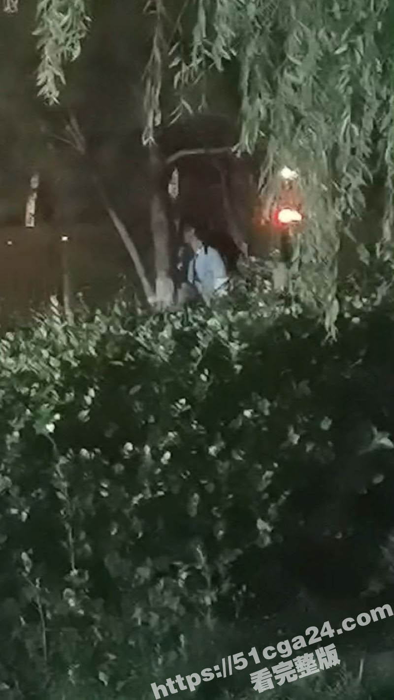 55岁的老不休在鸿港夜市小树林激战 2
