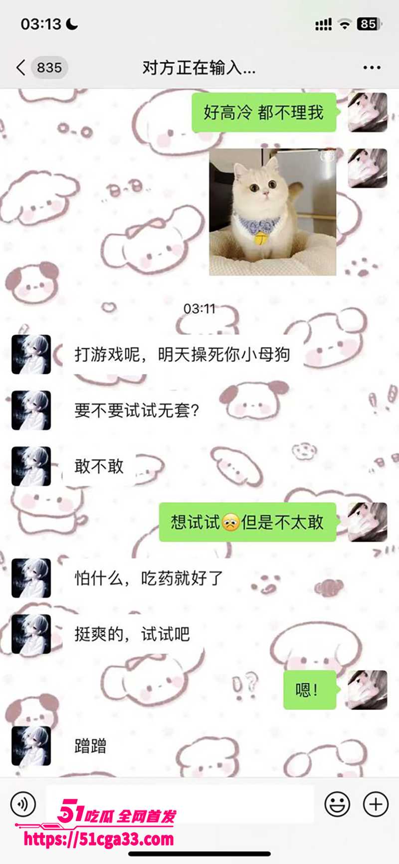 清纯嫩妹玩偶犬酱不雅视频流出 18 拷贝