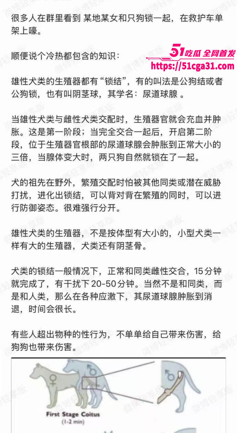 奇女子饥渴难耐 为泄欲竟强奸爱犬 不料事后难以拔出被120拉走 现场完整版视频曝光！