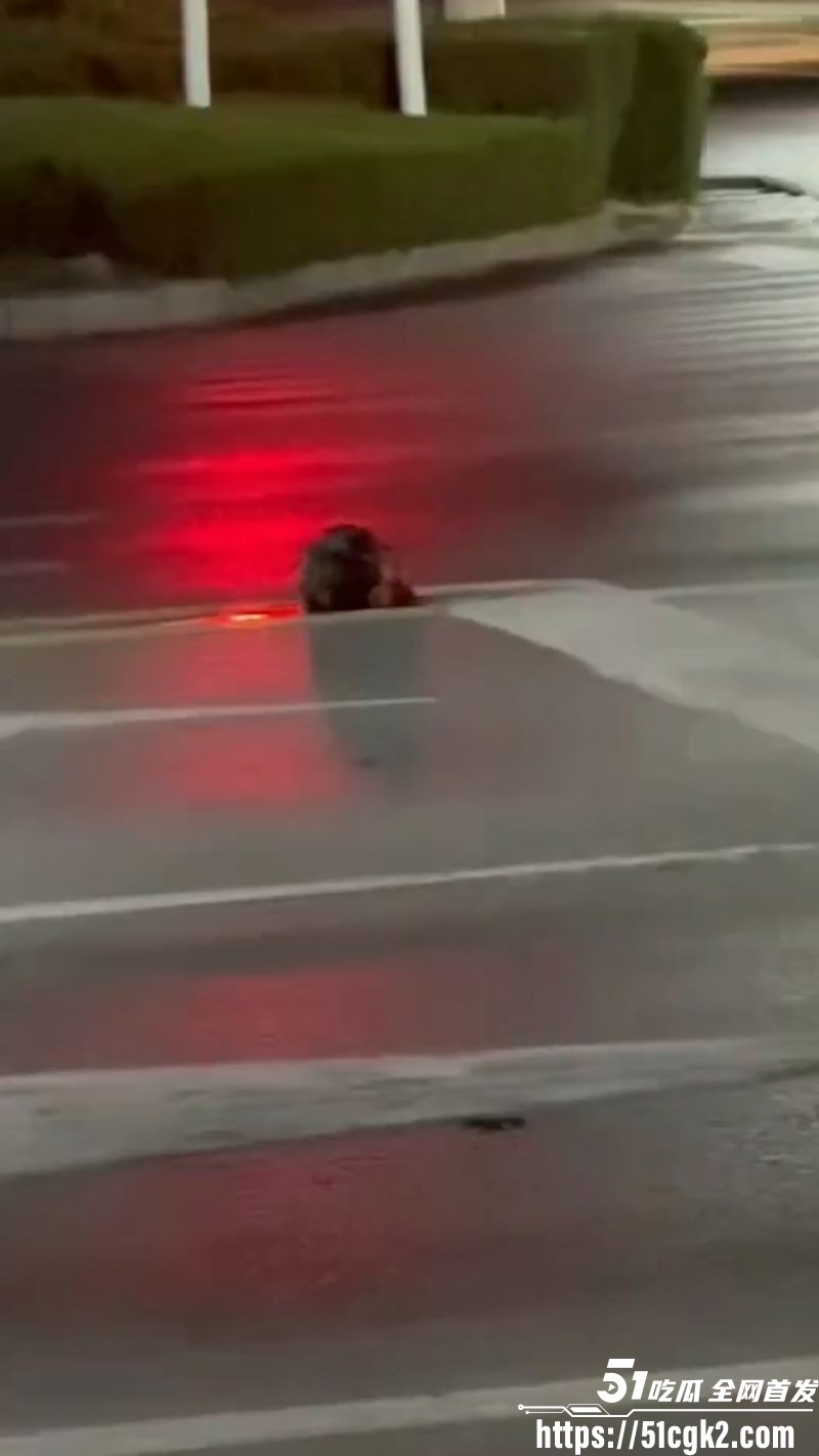 山东诸城繁荣路惊现人头 2
