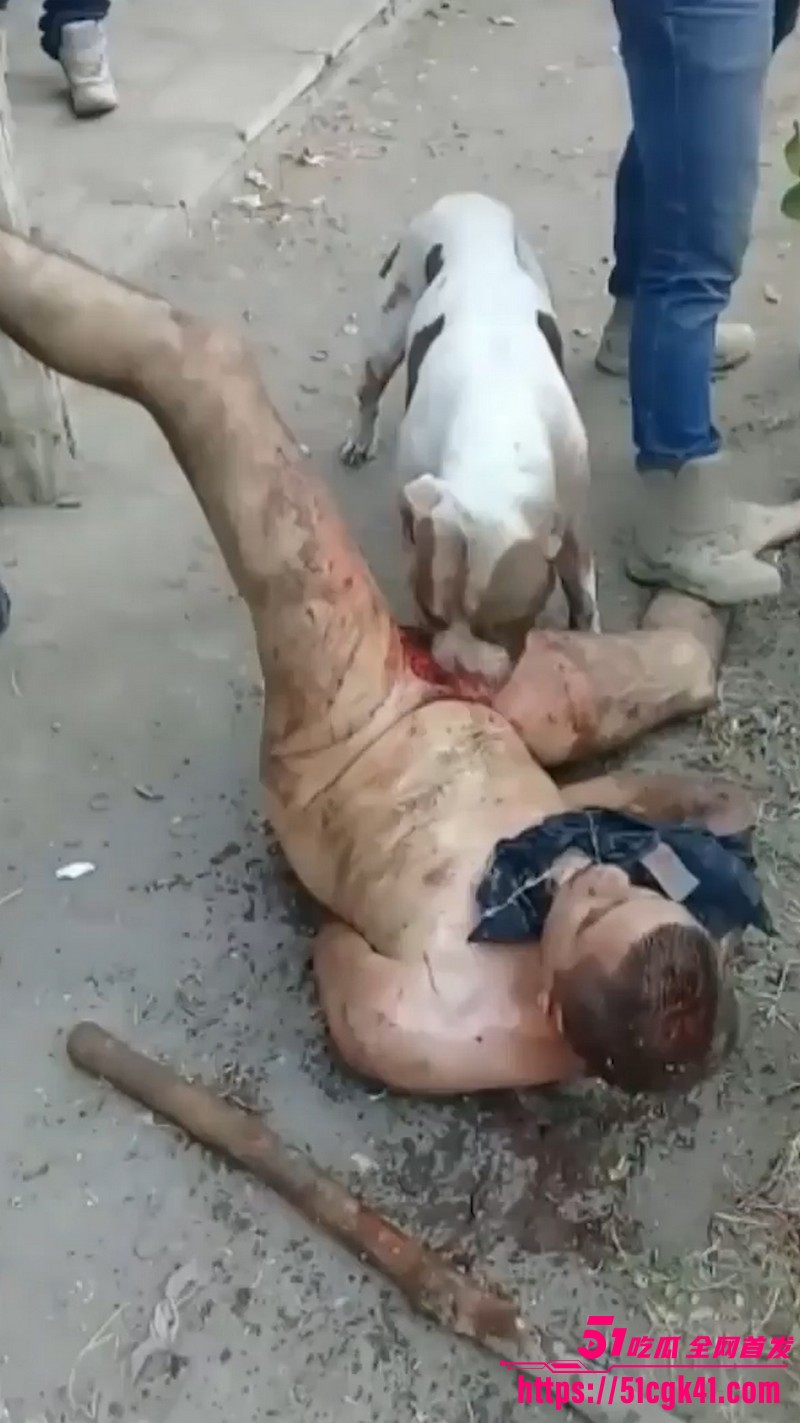墨西哥猎奇事件！30岁裸男性侵遭黑帮私刑 斗牛犬生吞生殖器 血腥惨叫震天 胆小瓜友慎入！