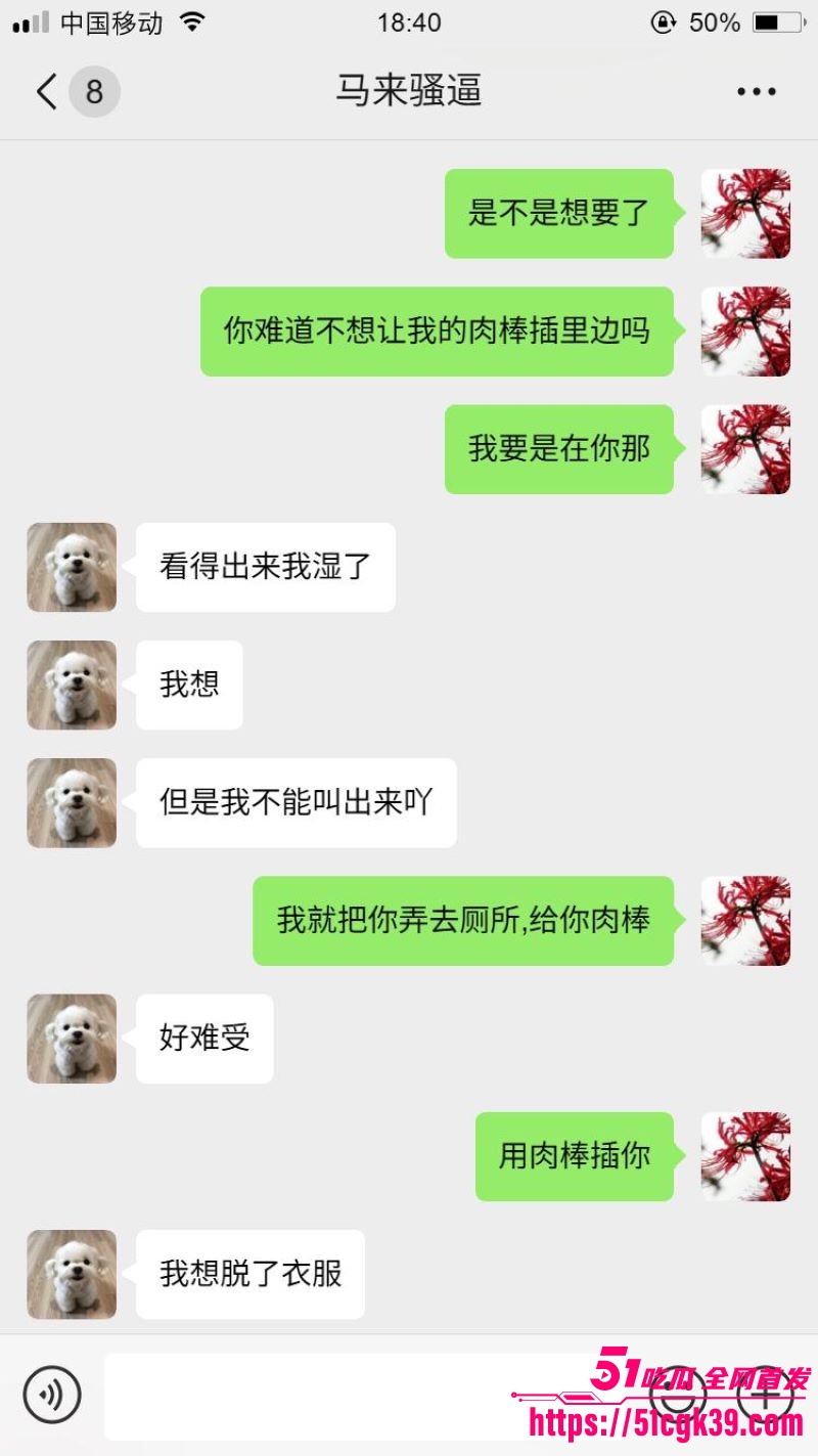 网调大神跨国调教马来西亚母狗 5