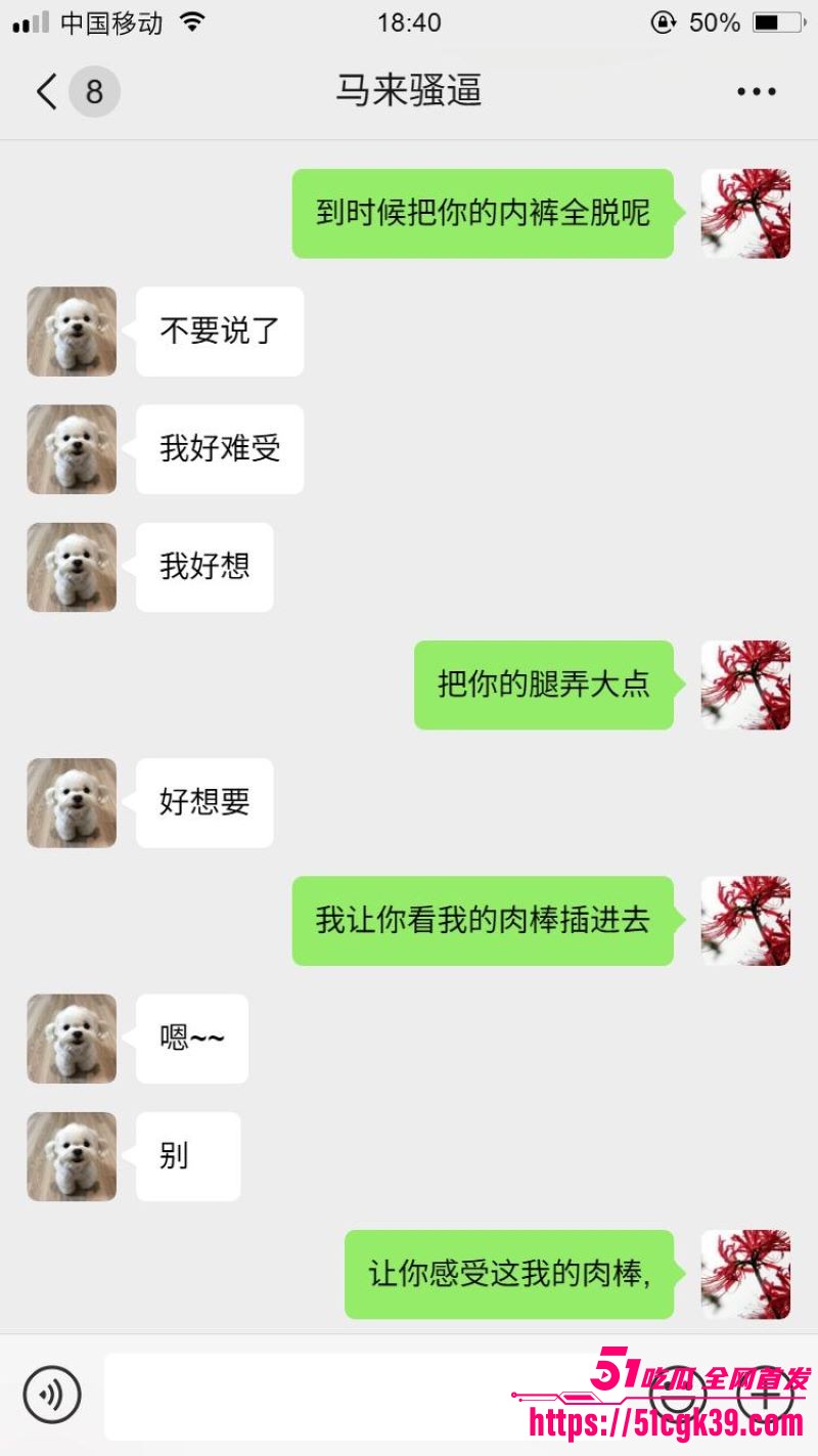 网调大神跨国调教马来西亚母狗 7