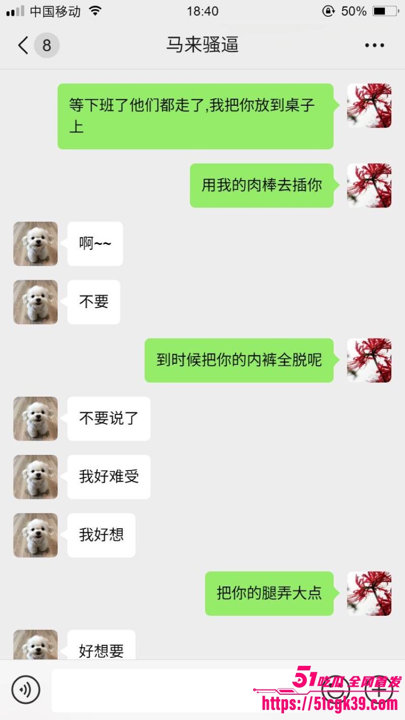 网调大神跨国调教马来西亚母狗 6