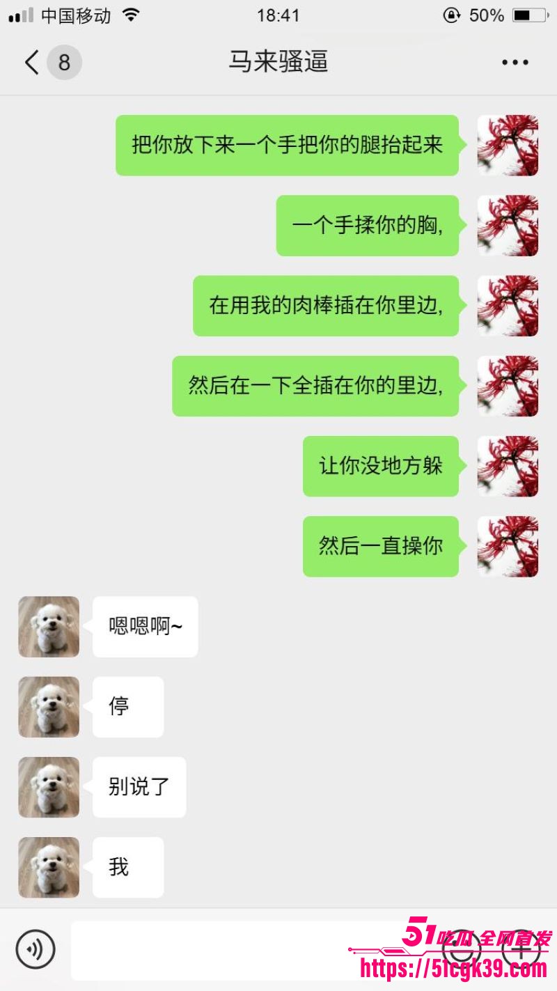网调大神跨国调教马来西亚母狗 8