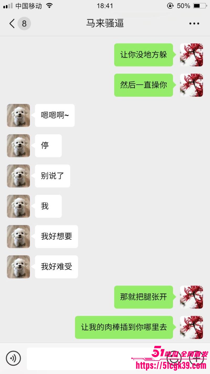 网调大神跨国调教马来西亚母狗 9
