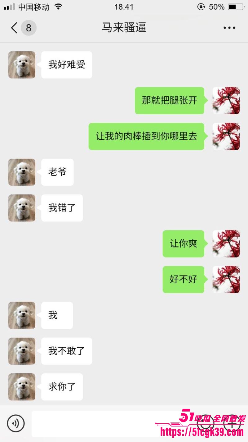 网调大神跨国调教马来西亚母狗 10