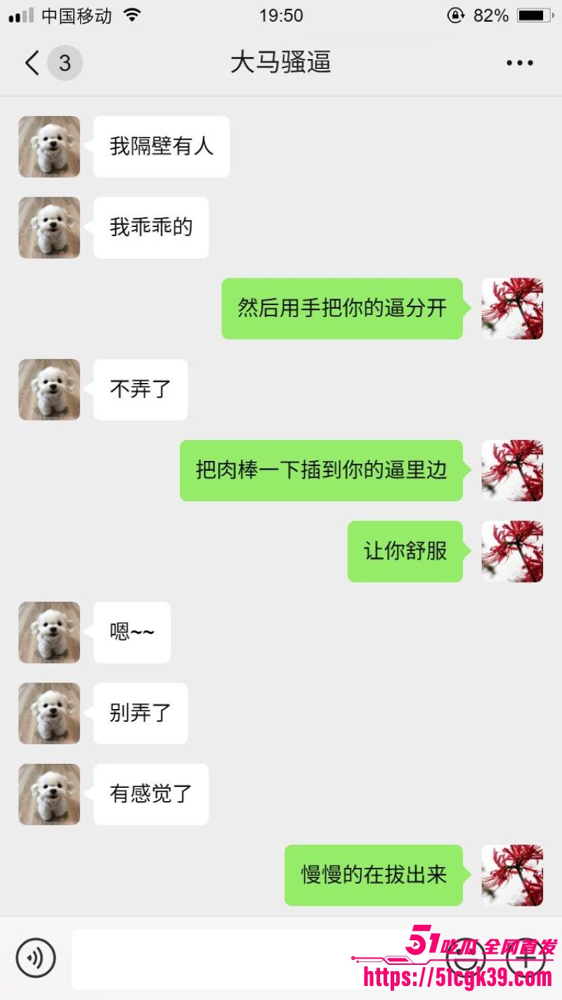 网调大神跨国调教马来西亚母狗 11