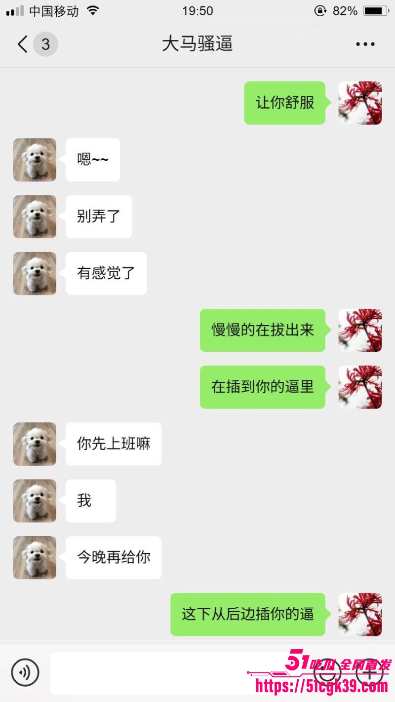 网调大神跨国调教马来西亚母狗 12