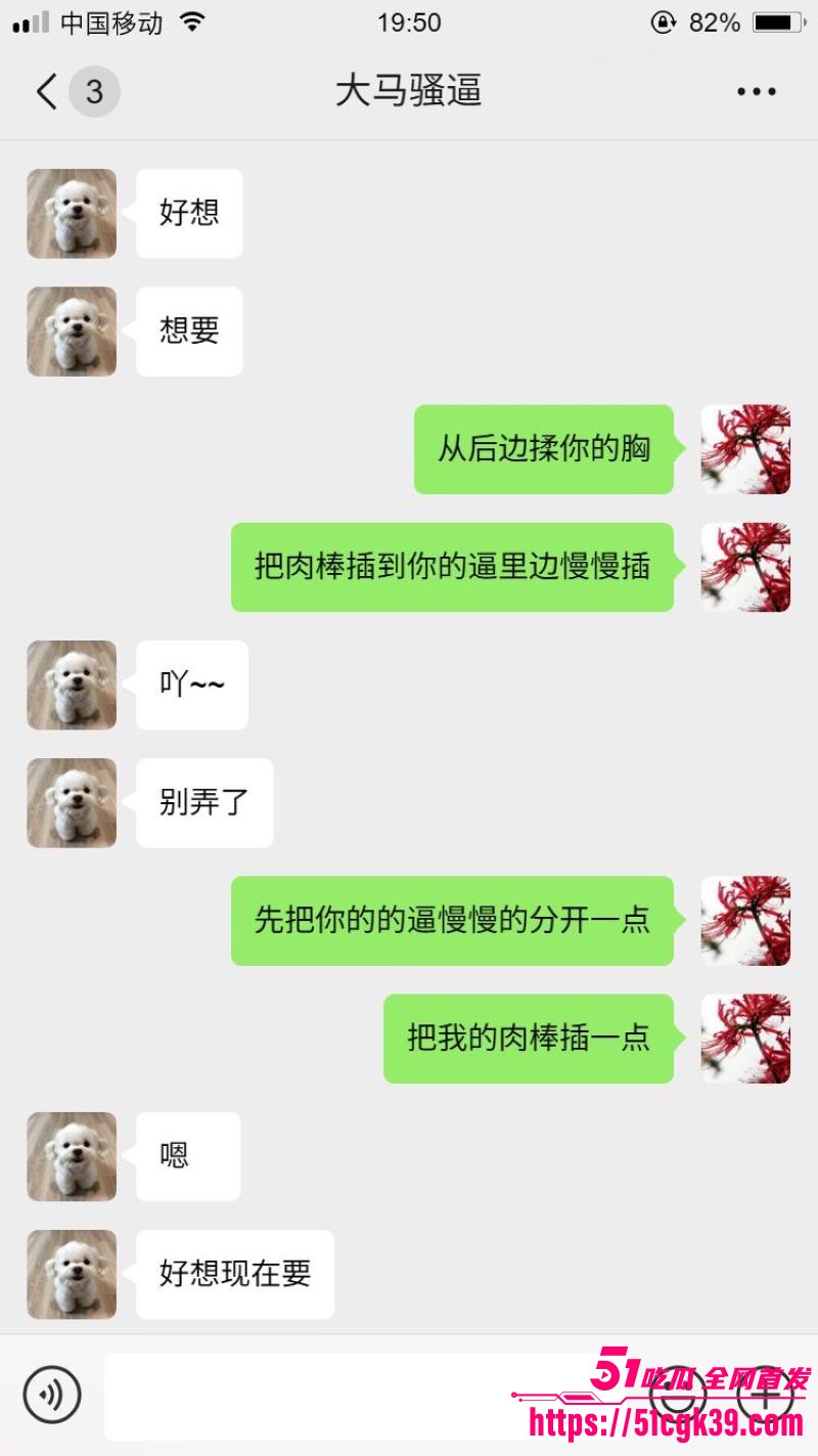 网调大神跨国调教马来西亚母狗 13