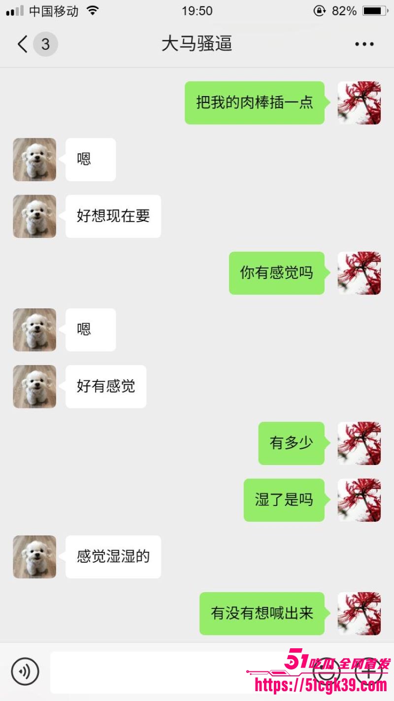 网调大神跨国调教马来西亚母狗 14