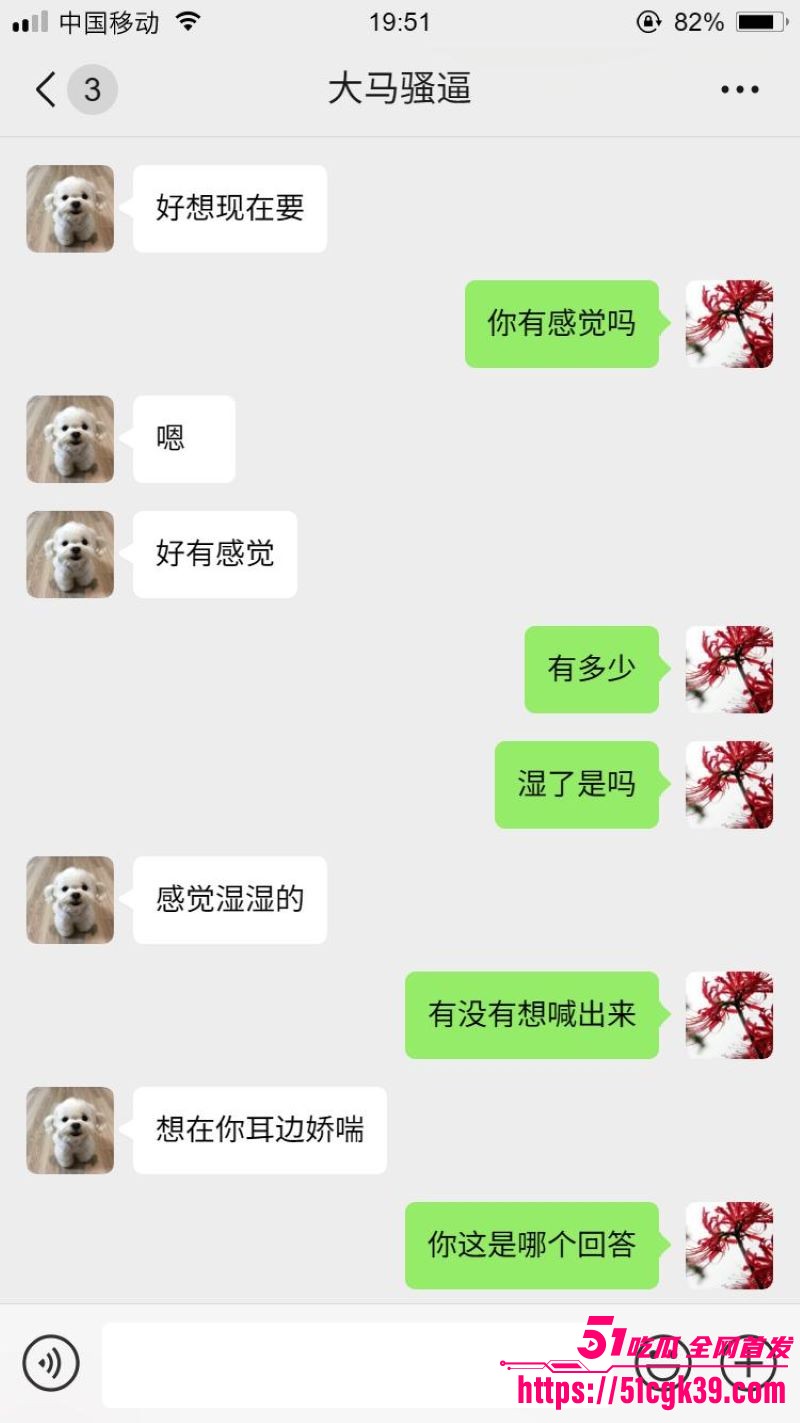 网调大神跨国调教马来西亚母狗 15