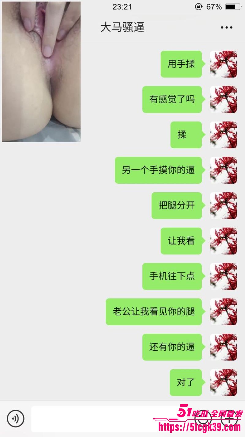 网调大神跨国调教马来西亚母狗 17