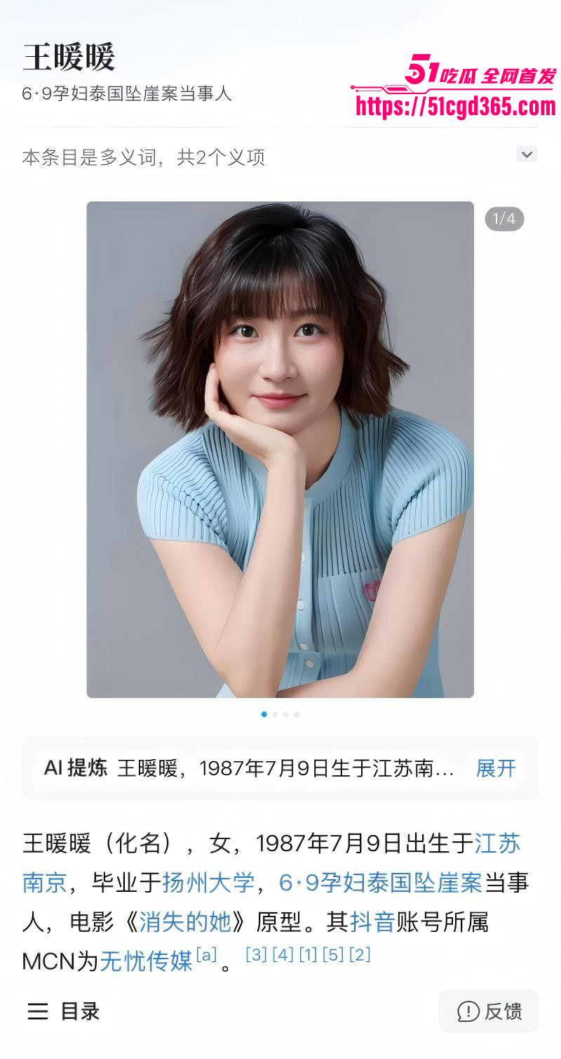 消失的她原型王暖暖泰国坠崖案03