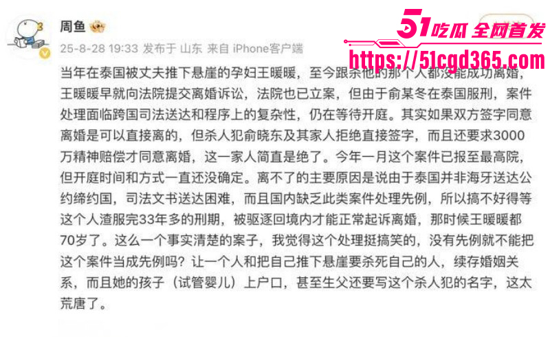 消失的她原型王暖暖泰国坠崖案012