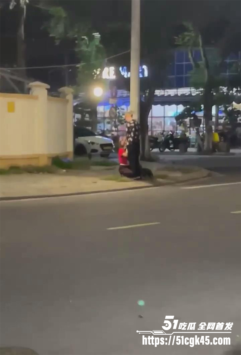 越南岘港大街上跪地深喉口交视频流出4拷贝