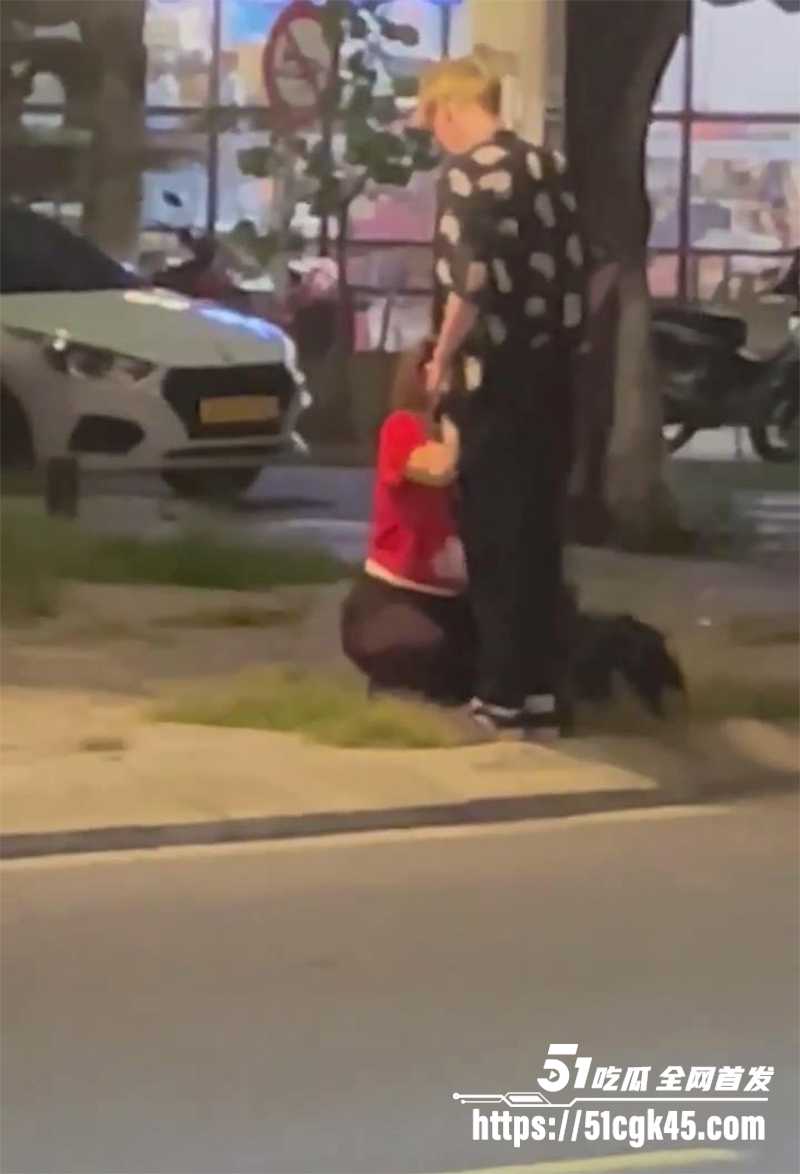 越南岘港大街上跪地深喉口交视频流出2拷贝