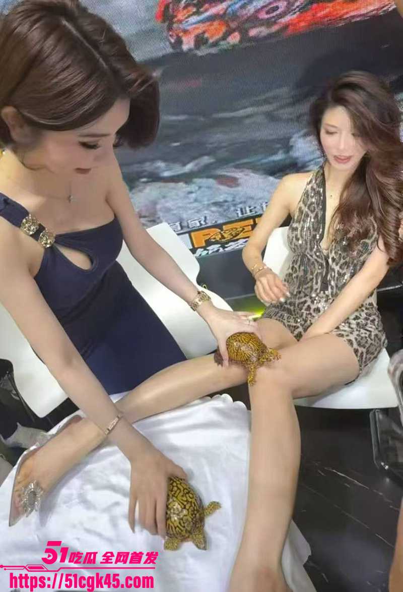 广东佛山顺德世界名龟展现网红擦边被举报4拷贝