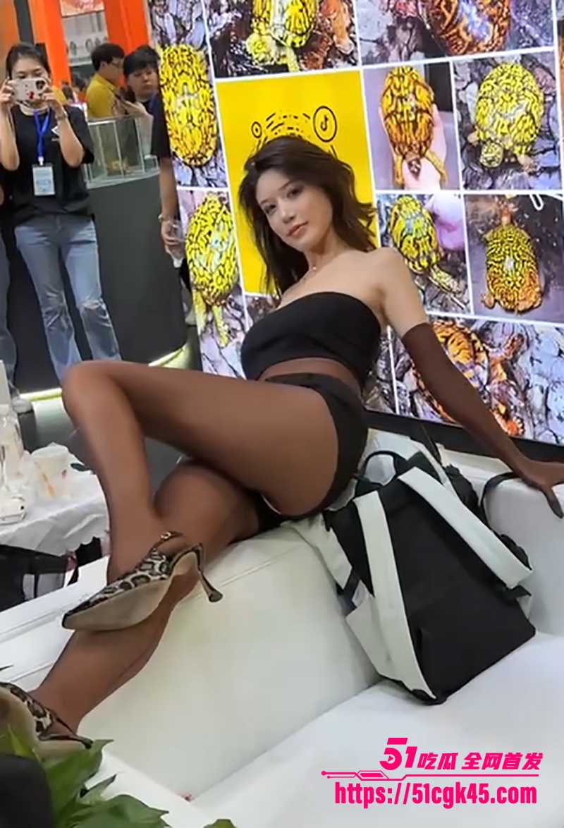 广东佛山顺德世界名龟展现网红擦边被举报10拷贝