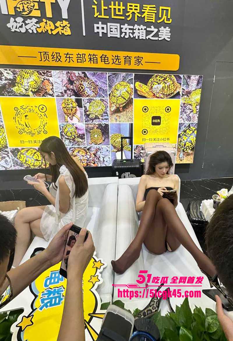 广东佛山顺德世界名龟展现网红擦边被举报3拷贝