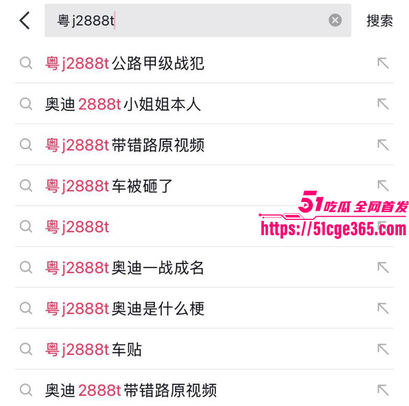 传奇奥迪女车主粤J2888T约炮男粉视频曝光 12
