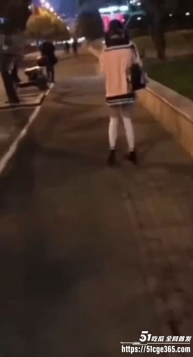 小仙女当街尿尿震惊路人 3
