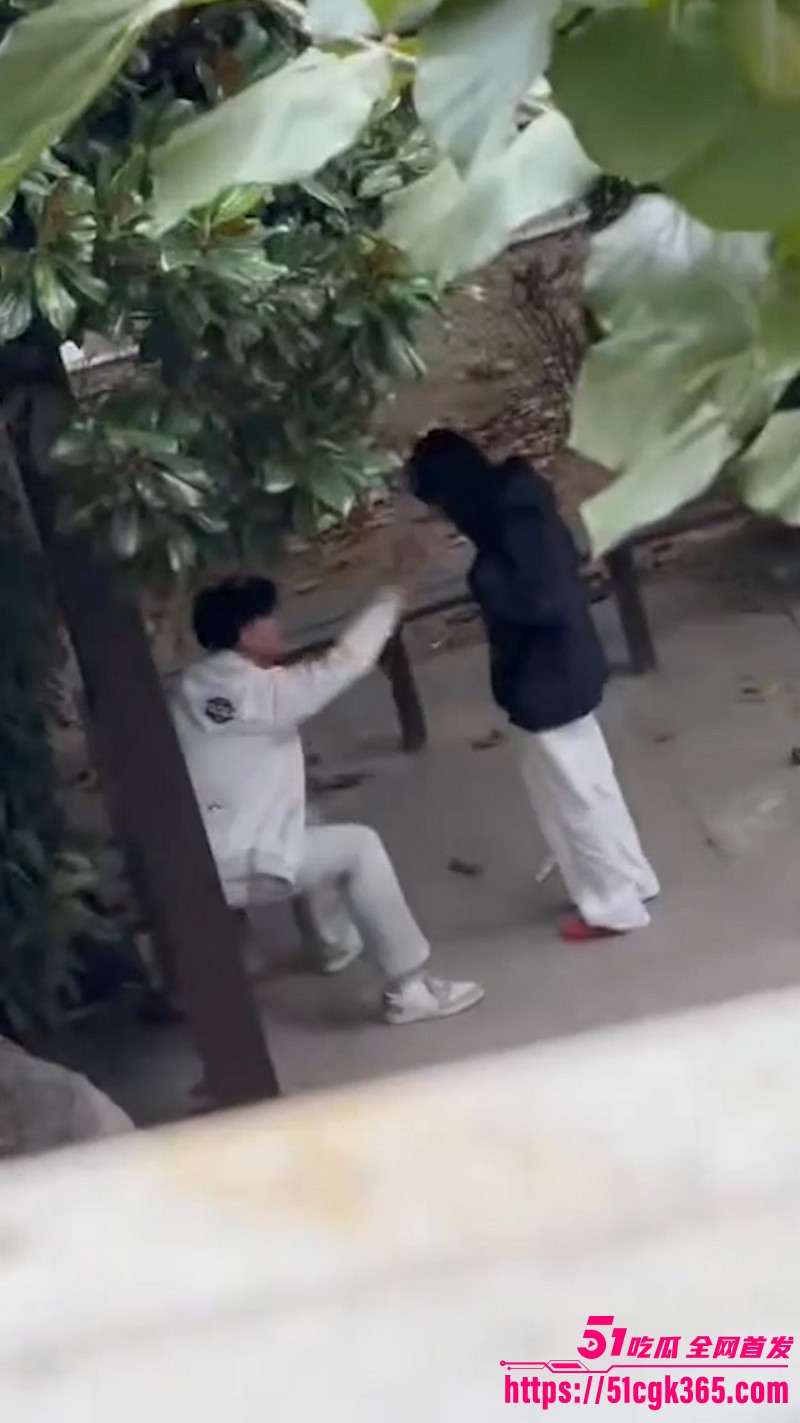 徐州技师学院小亭子情侣户外激情骑乘 3