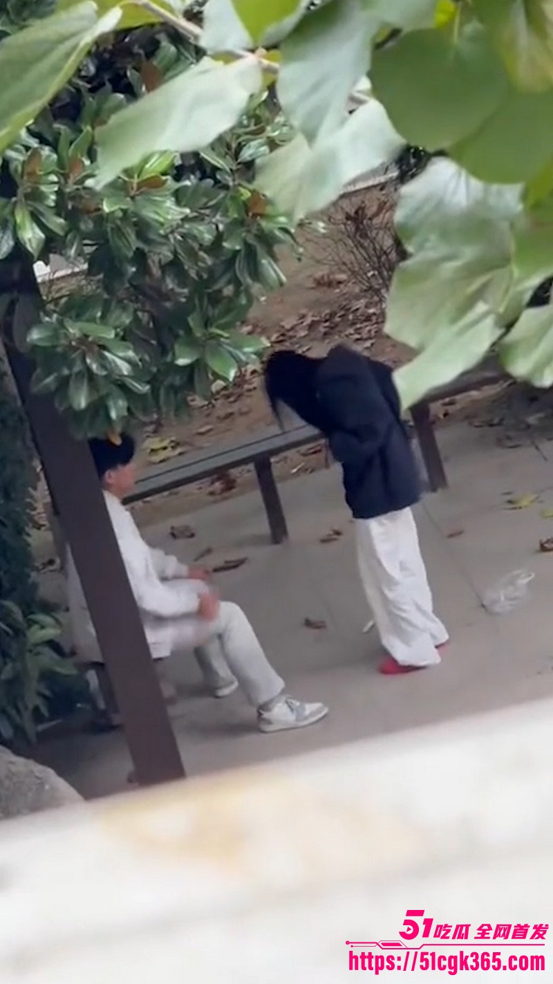 徐州技师学院小亭子情侣户外激情骑乘 4