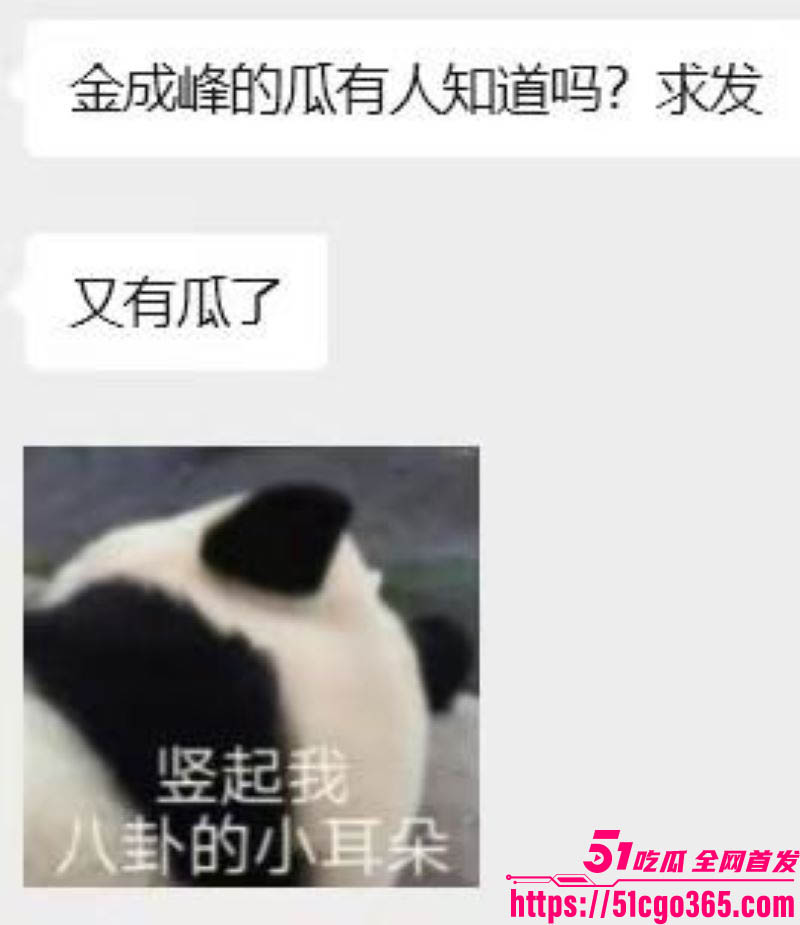 金成峰泓泓欧尼最新瓜 6