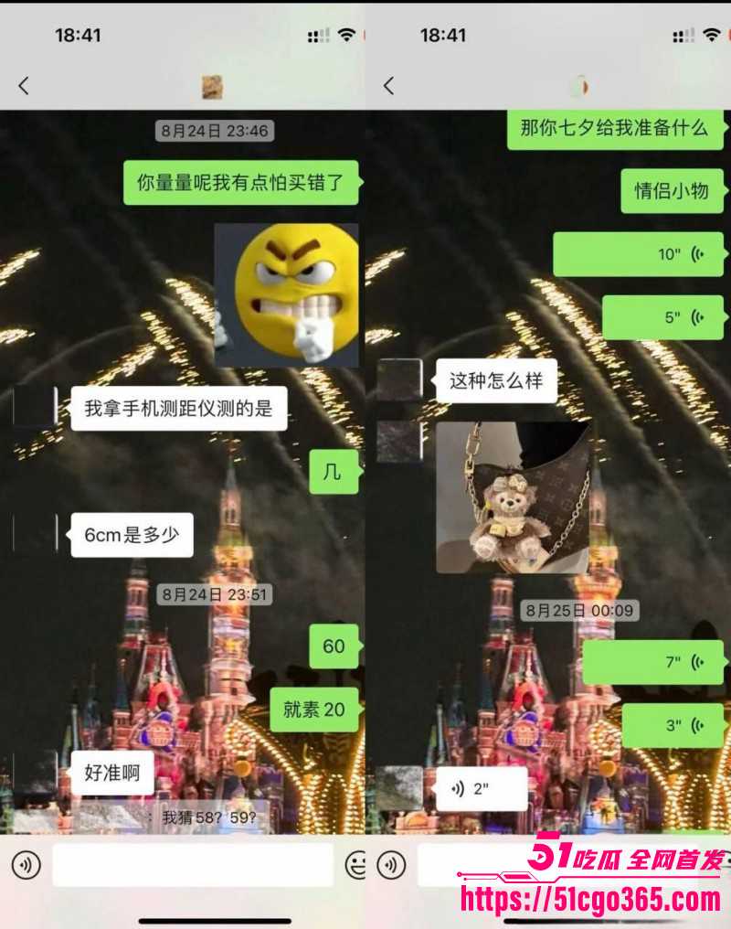 抖音网红就叫王晨骗钱骗炮被曝光025